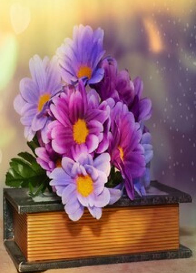 Молодость &amp; Книга. Литературный баттл