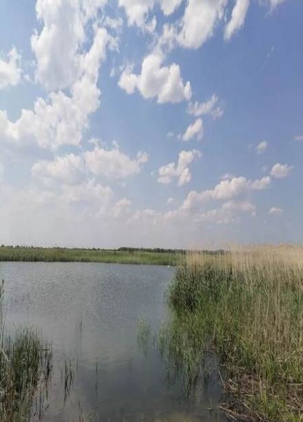 Край, в котором я живу. Фотовыставка