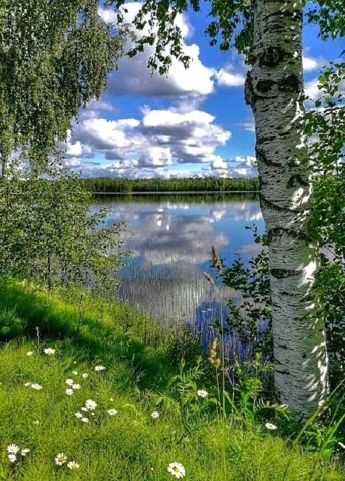 Мой край родной. Краеведческий урок-путешествие