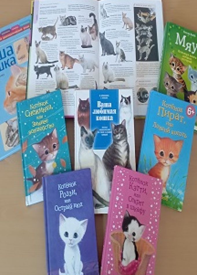 Кошки с книжной обложки. Книжная выставка