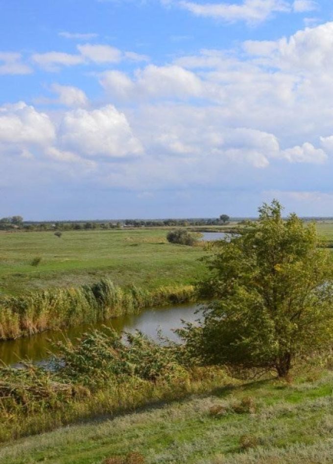 Дело было в районе N: Краеведческий квилт