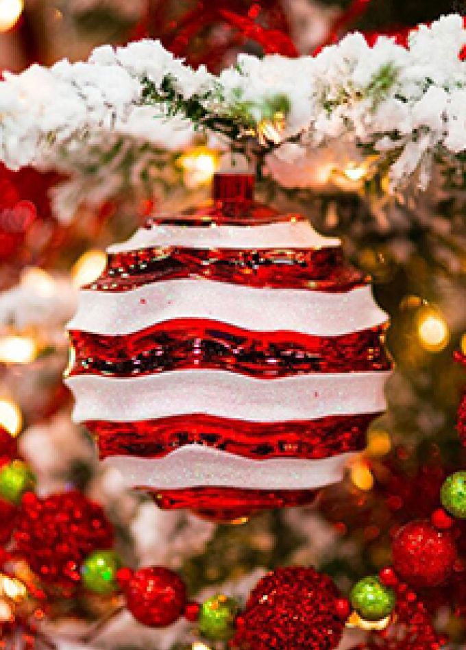 Новогодняя встреча