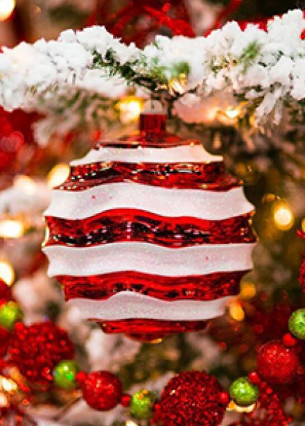 Новогодняя встреча