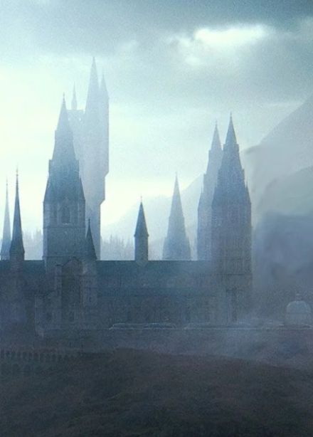 Мир Гарри Поттера. Квиз