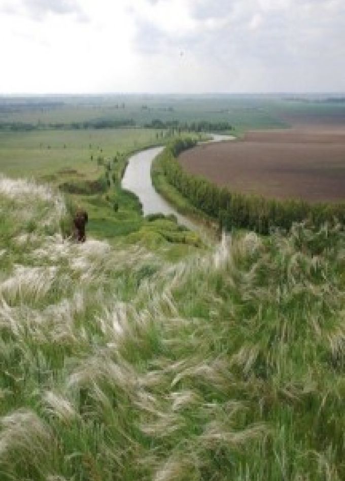 Вдогонку за лидером