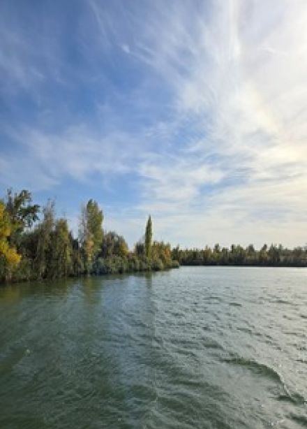 Красота родной природы в разных видах искусства