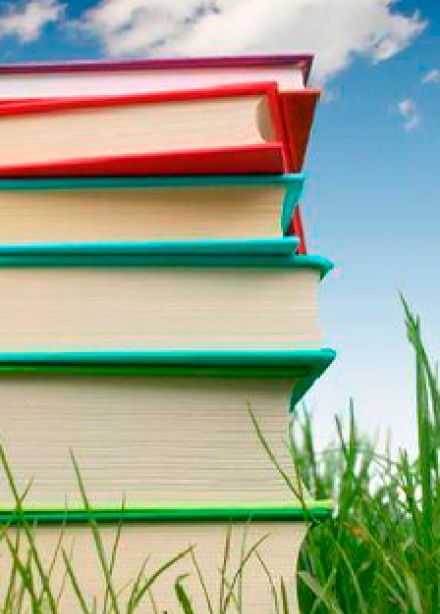 С книгой жить - век не тужить. Интеллектуальная программа