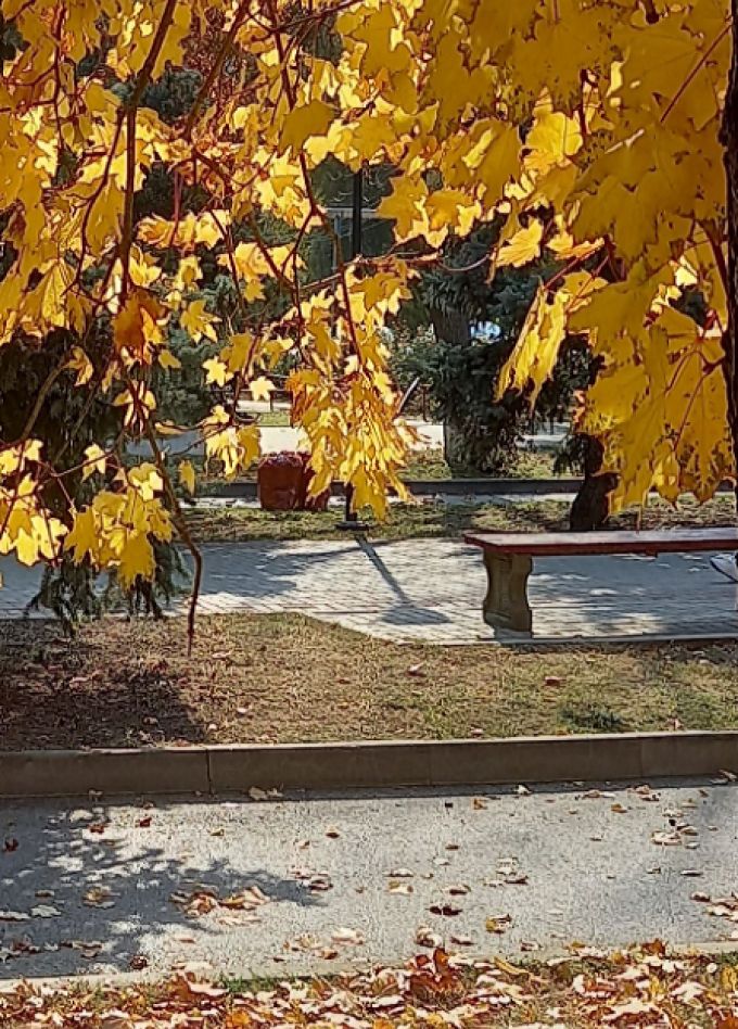 Здесь корни, здесь истоки. Краеведческая программа