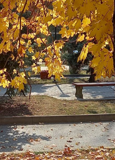 Здесь корни, здесь истоки. Краеведческая программа