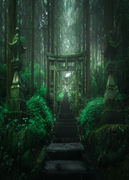 Открой тайны Востока. Интеллектуальная игра