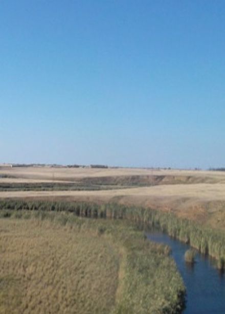 Чудеса родного края. Познавательная программа